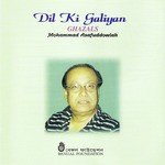 Dil Ki Galiya - Pallavi Joshi Song Download